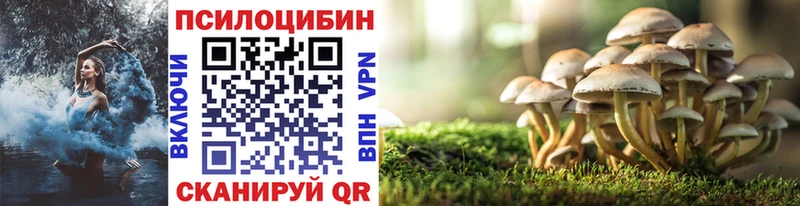 как найти Шумиха Галлюциногенные грибы мухоморы
